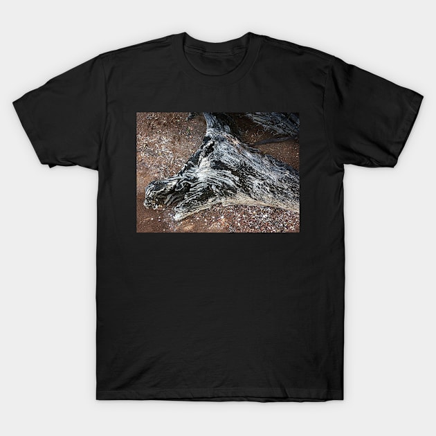 Driftwood Horse T-Shirt by rozmcq
